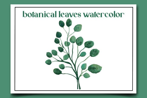 Botanical Leaves Watercolor-2: Illustrations for Branding