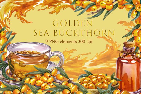 Sea Buckthorn Watercolor Clip Art Illustrations