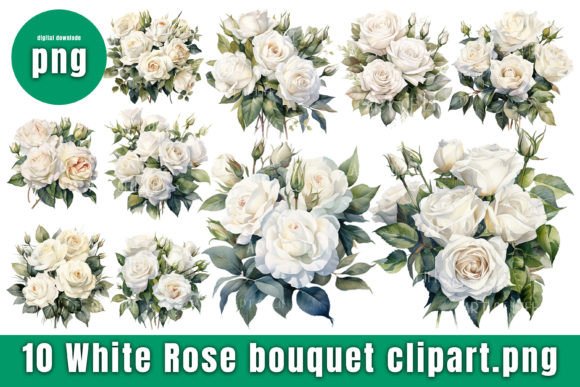 Watercolor White Roses Graphic: Illustrations for Selling